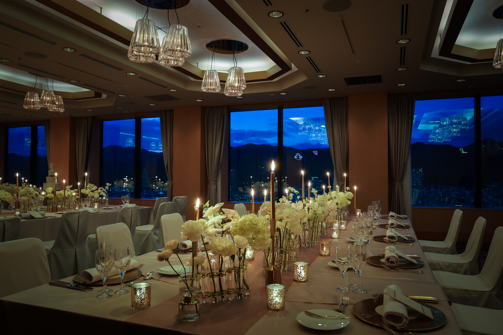 Seiun-星雲-イメージ03