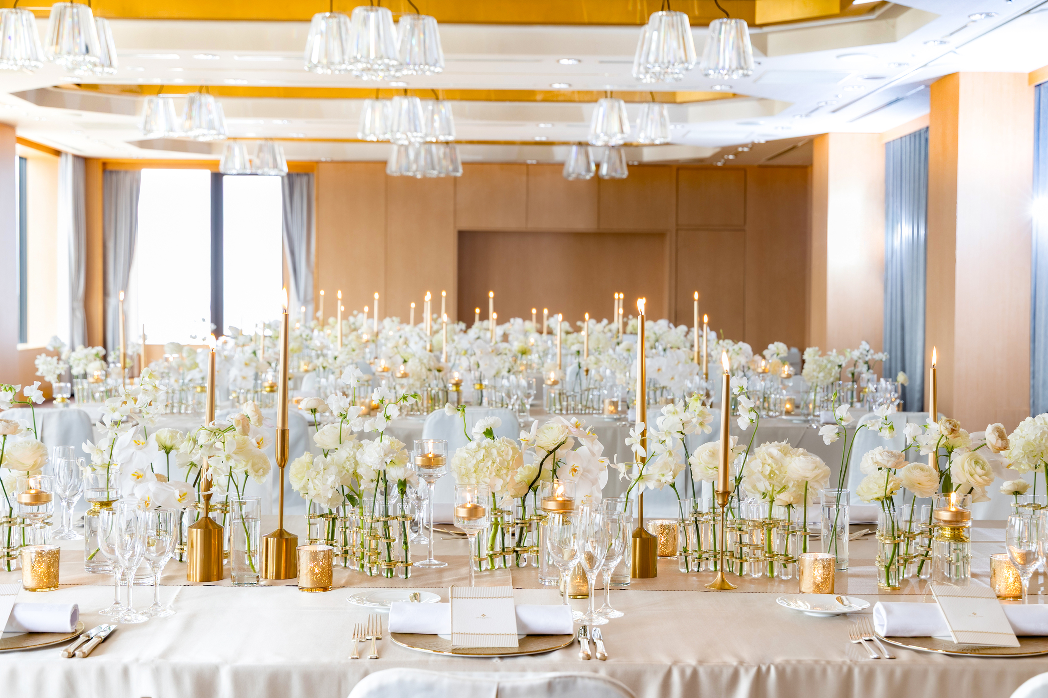 Seiun-星雲-イメージ02