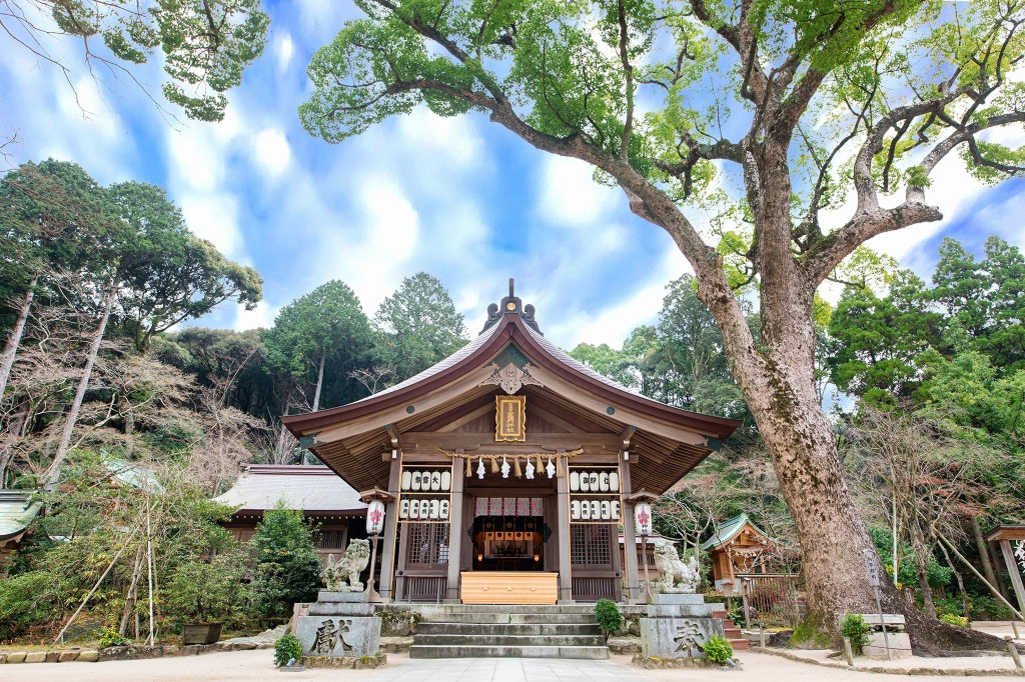 宝満宮 竈門神社イメージ01